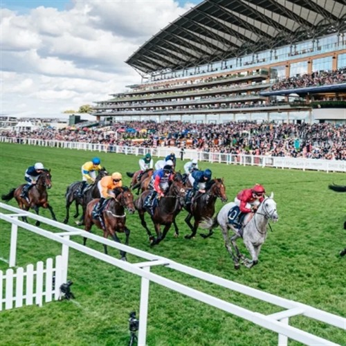Ascot 