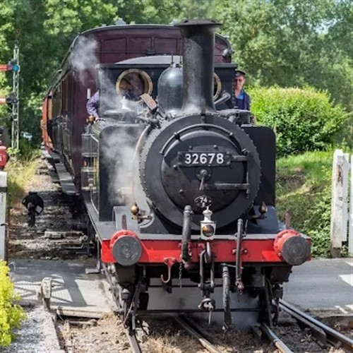 A photo at the Kent and East Sussex Railway 