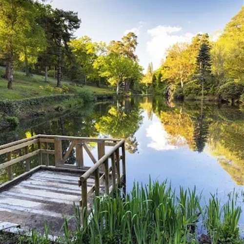 a photo overlooking Leonardslee Gardens