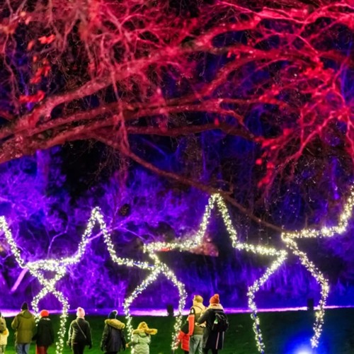 a photo of people at the light trail at hever castle 