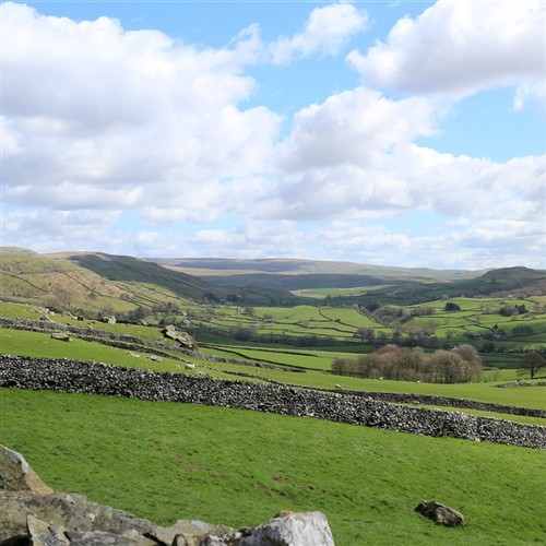Yorkshire Dales with green fields and walls